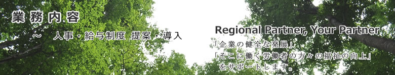 人事・給与制度 提案・導入